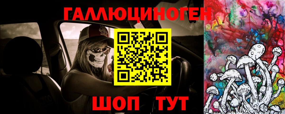 Галлюциногенные грибы Magic Shrooms  Вход с VPN  купить закладку  Галлюциногенные грибы Psilocybe  Нарткала 